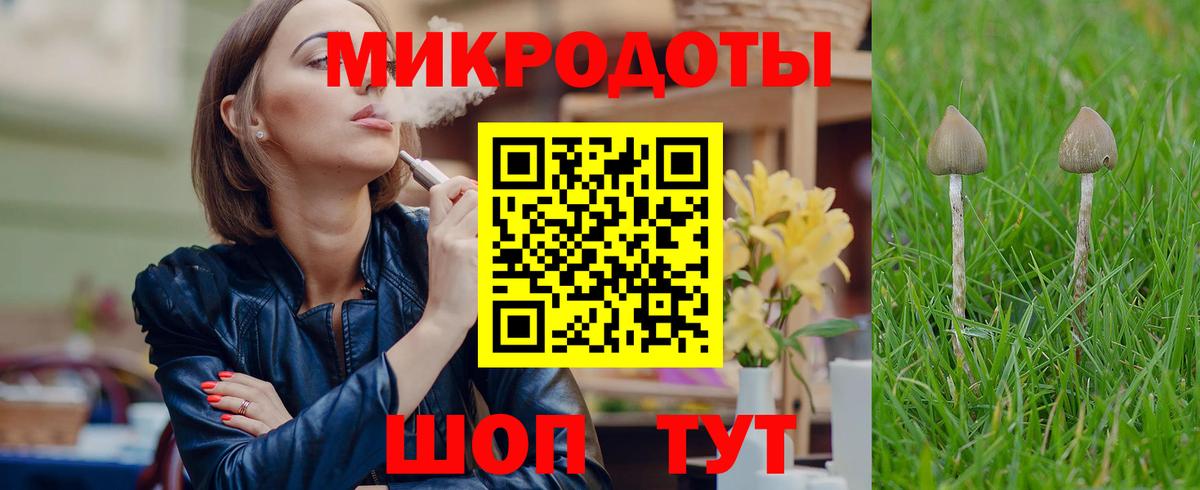 Псилоцибиновые грибы Psilocybine cubensis  Вход с VPN  Тельмана 